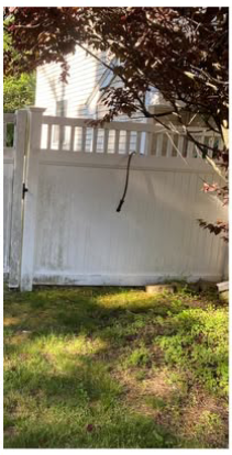 before-and-after-img