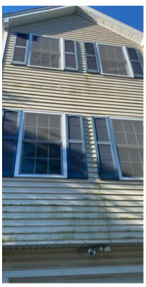 before-and-after-img